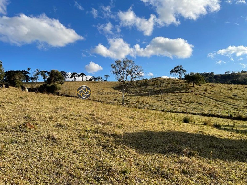 Sítio à venda, 40000m² - Foto 3