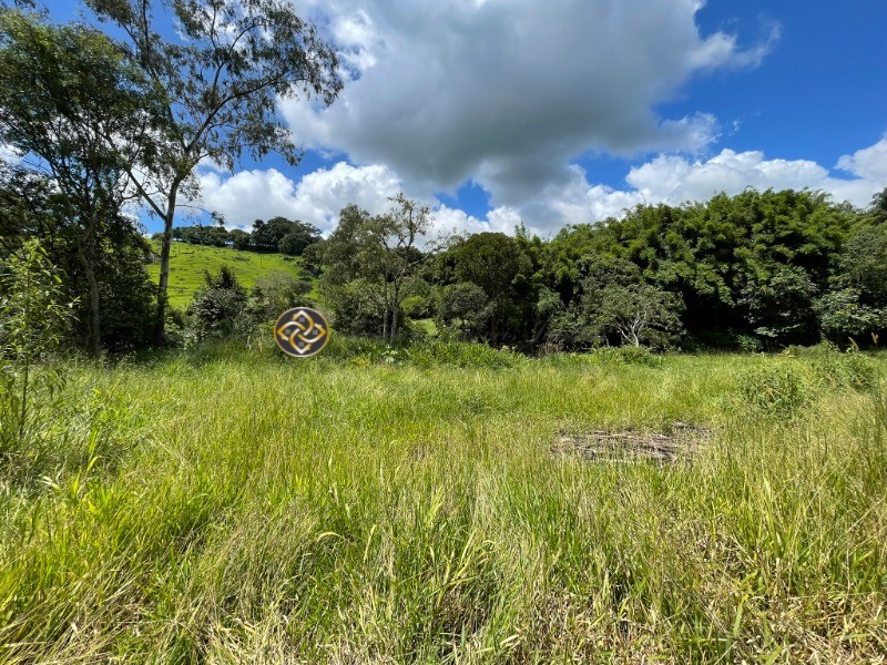 Terreno à venda, 9000m² - Foto 7