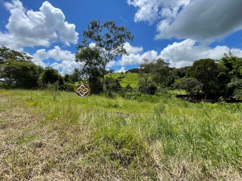 Terreno à venda, 9000m² - Foto 5