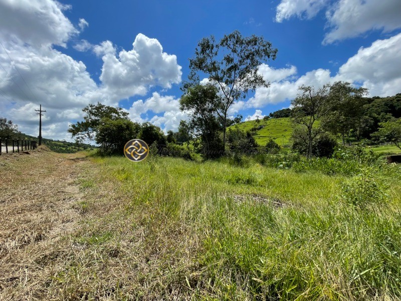 Terreno à venda, 9000m² - Foto 1