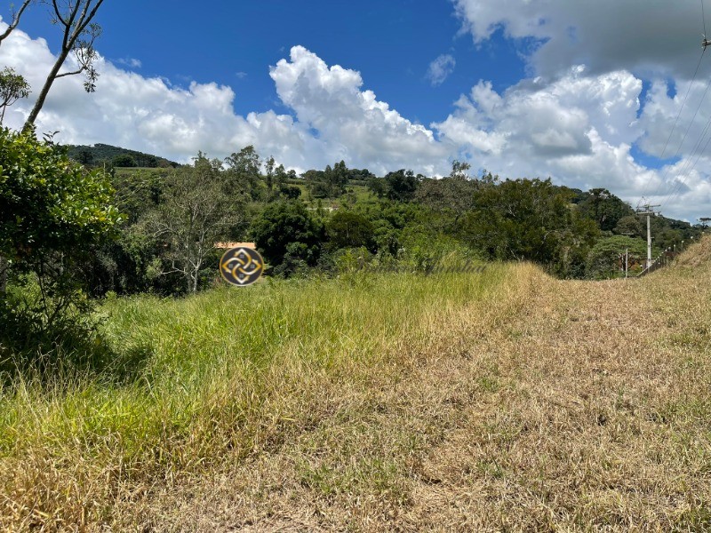 Terreno à venda, 9000m² - Foto 14