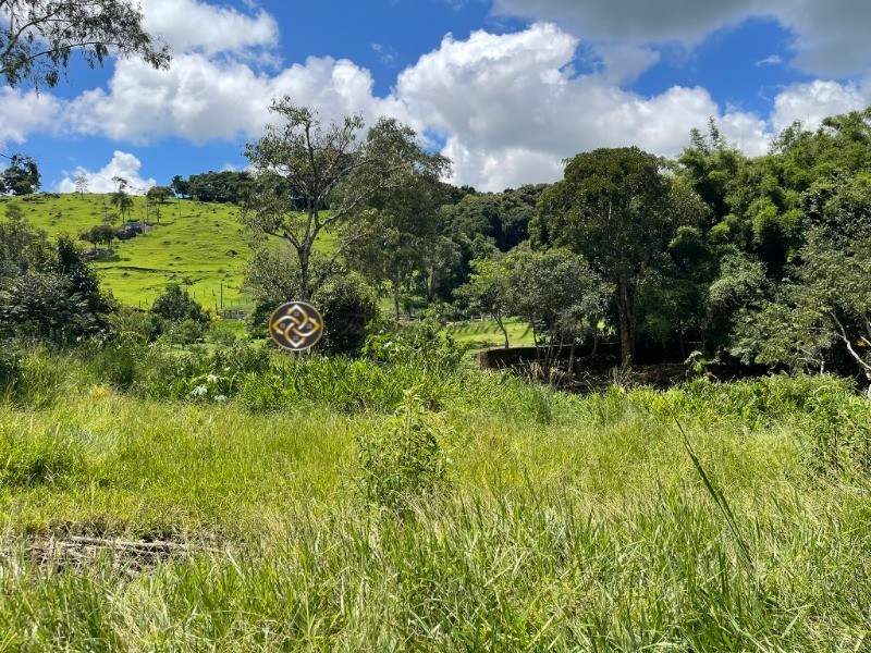 Terreno à venda, 9000m² - Foto 4