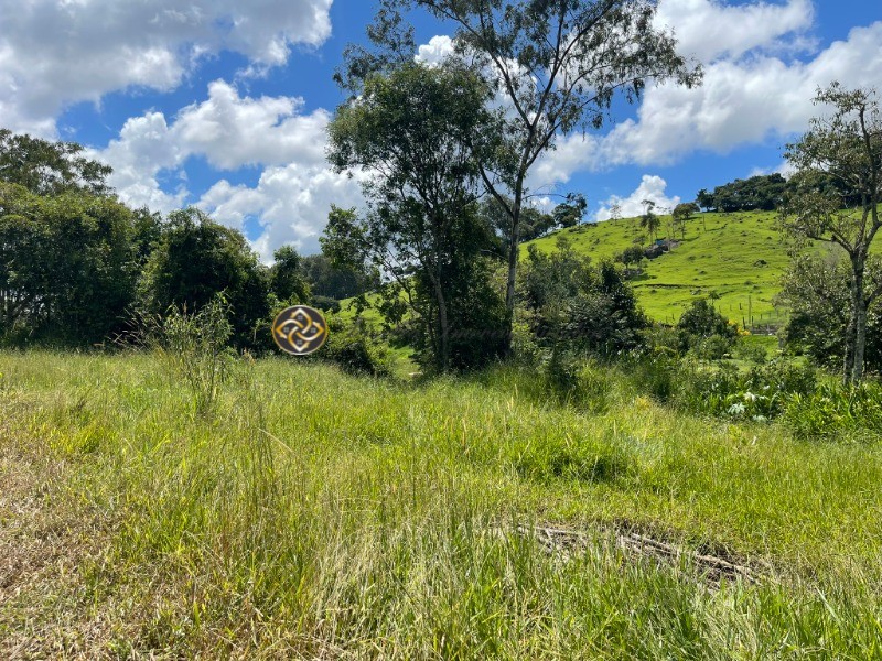 Terreno à venda, 9000m² - Foto 3