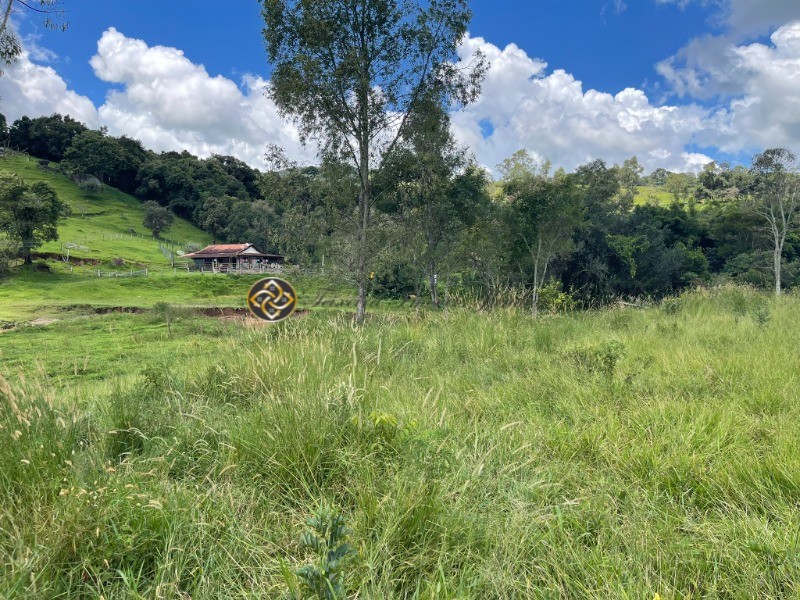 Terreno à venda, 9000m² - Foto 19