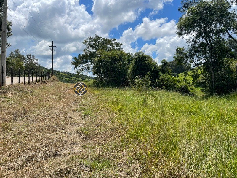 Terreno à venda, 9000m² - Foto 2