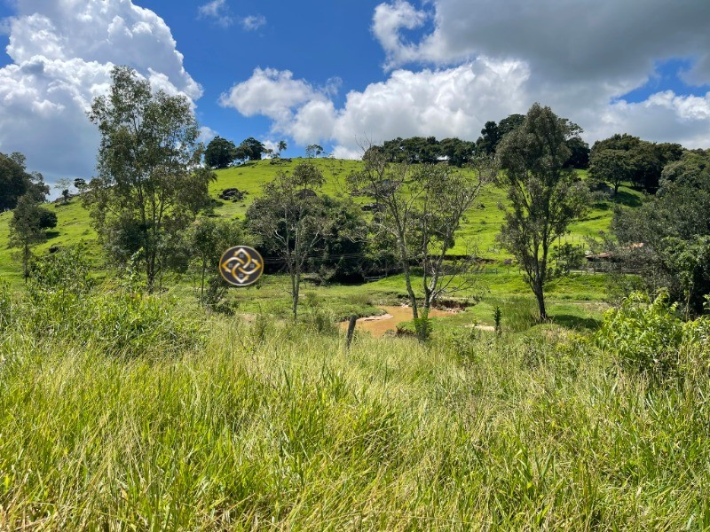 Terreno à venda, 9000m² - Foto 11