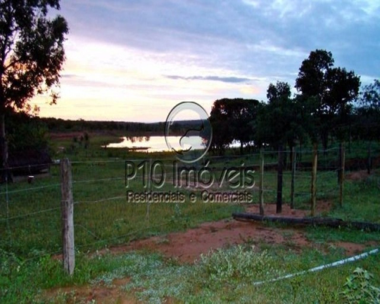 Fazenda à venda com 4 quartos, 4000m² - Foto 16