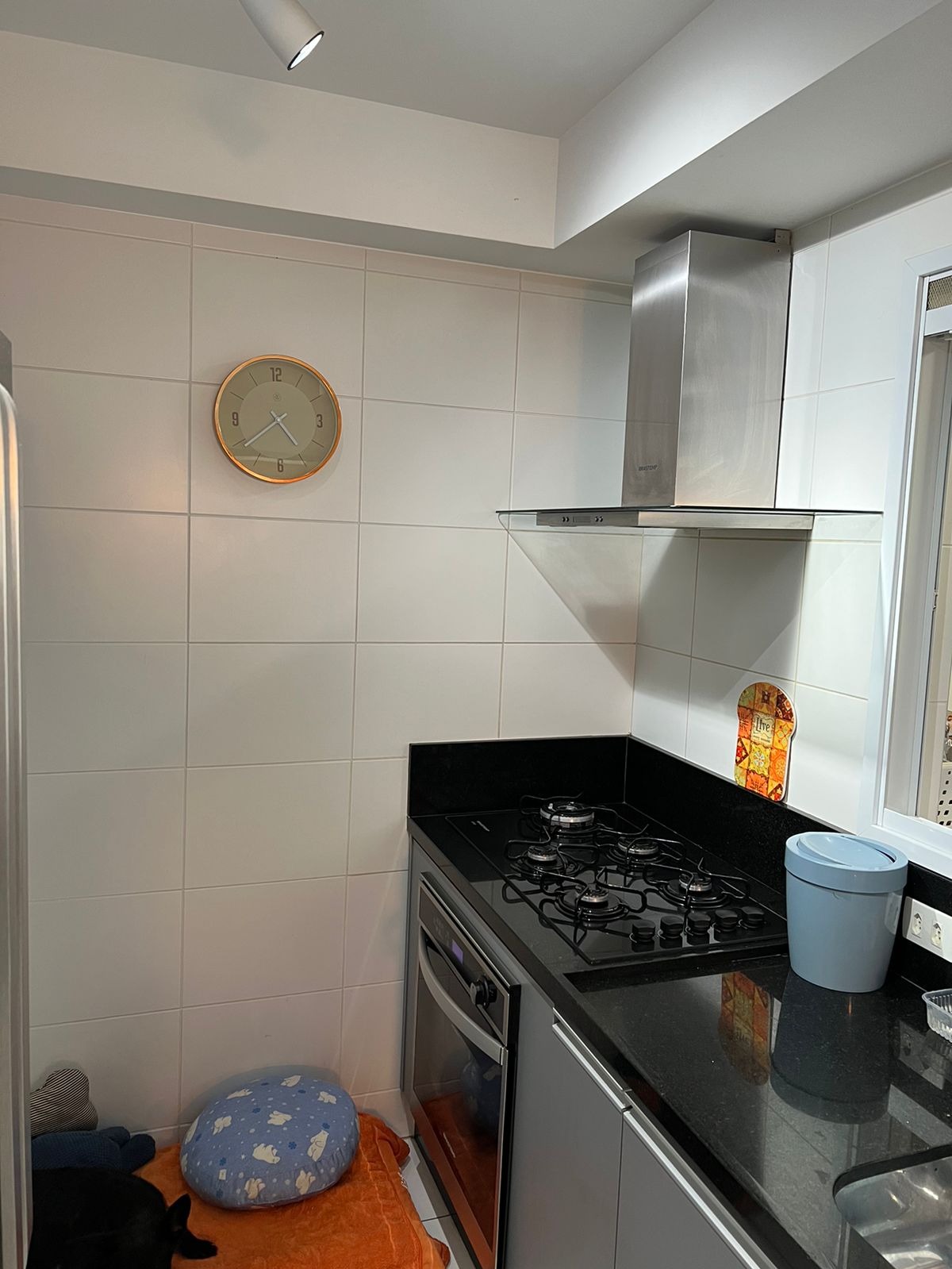 Apartamento à venda com 3 quartos, 127m² - Foto 15