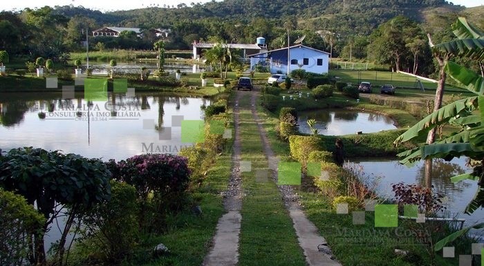 Chácara à venda com 7 quartos, 500m² - Foto 2