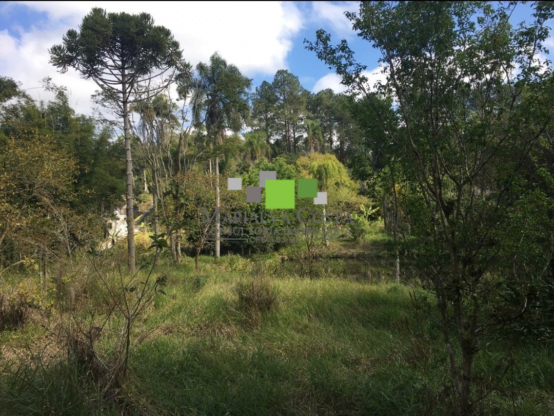 Terreno à venda - Foto 4