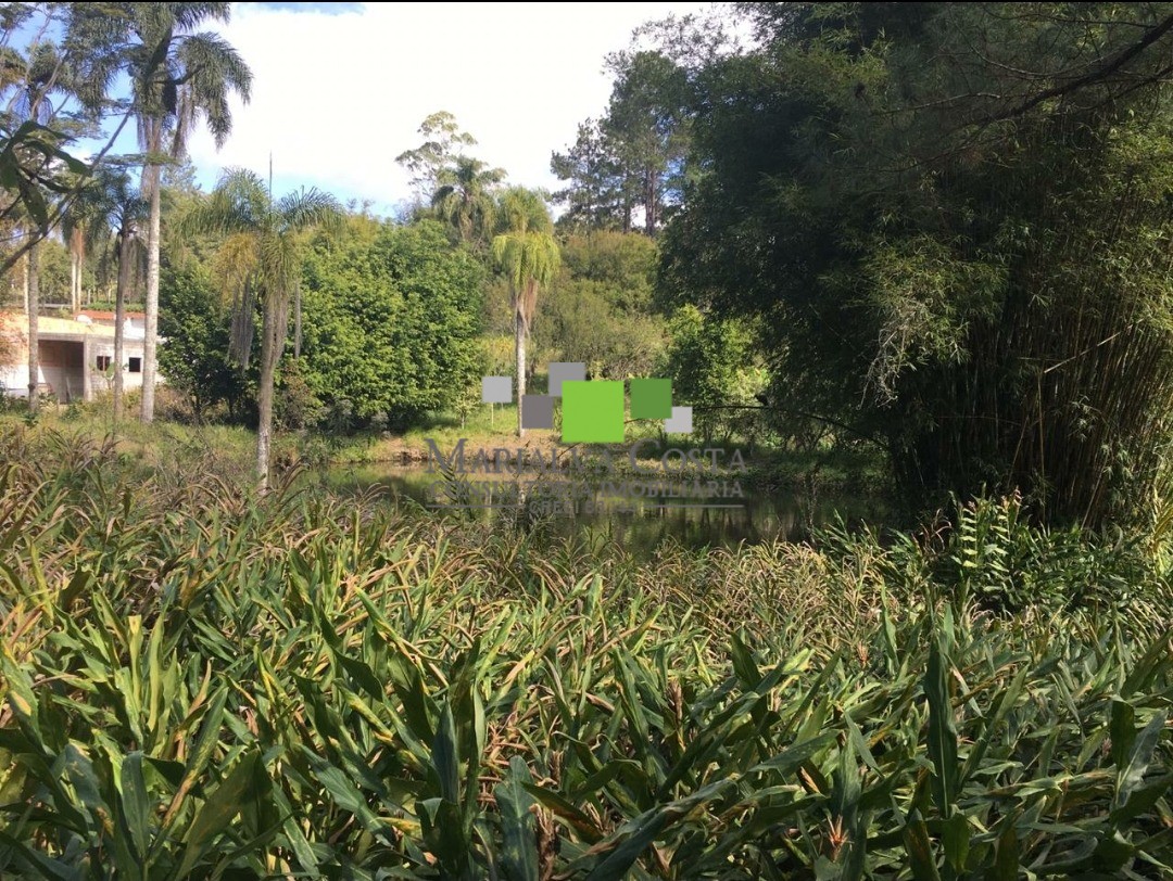 Terreno à venda - Foto 5