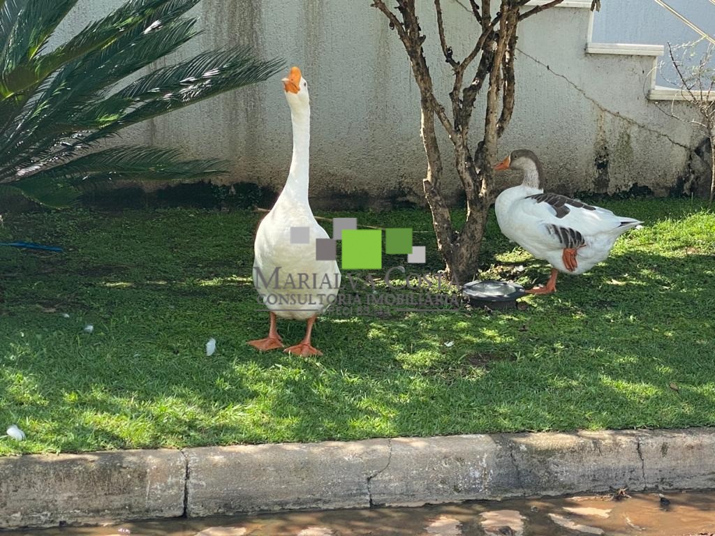 Casa à venda com 4 quartos - Foto 88