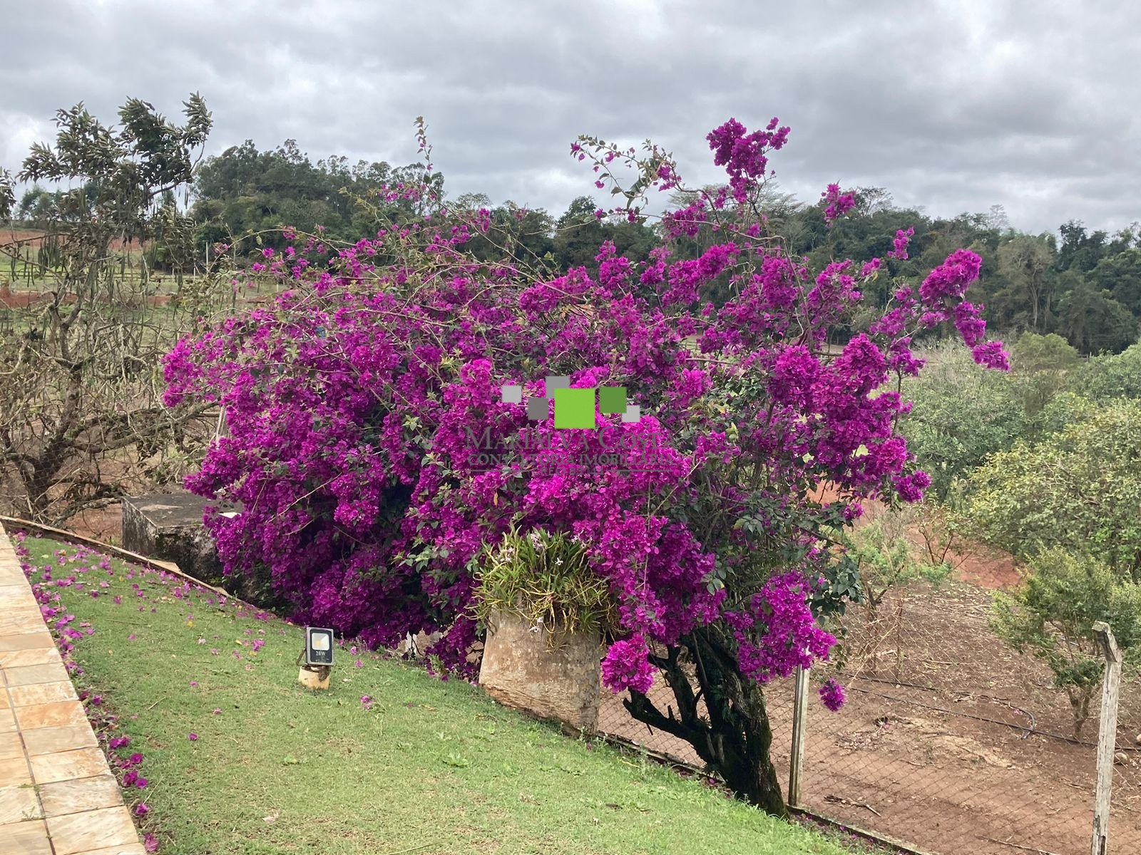 Fazenda à venda com 9 quartos - Foto 20