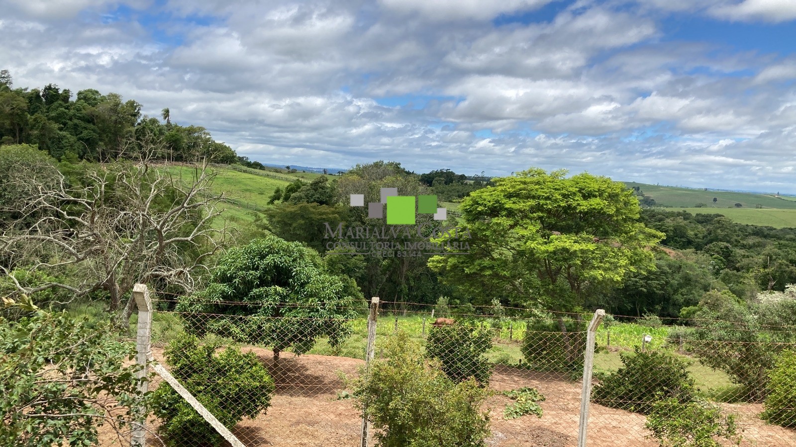 Fazenda à venda com 9 quartos - Foto 10