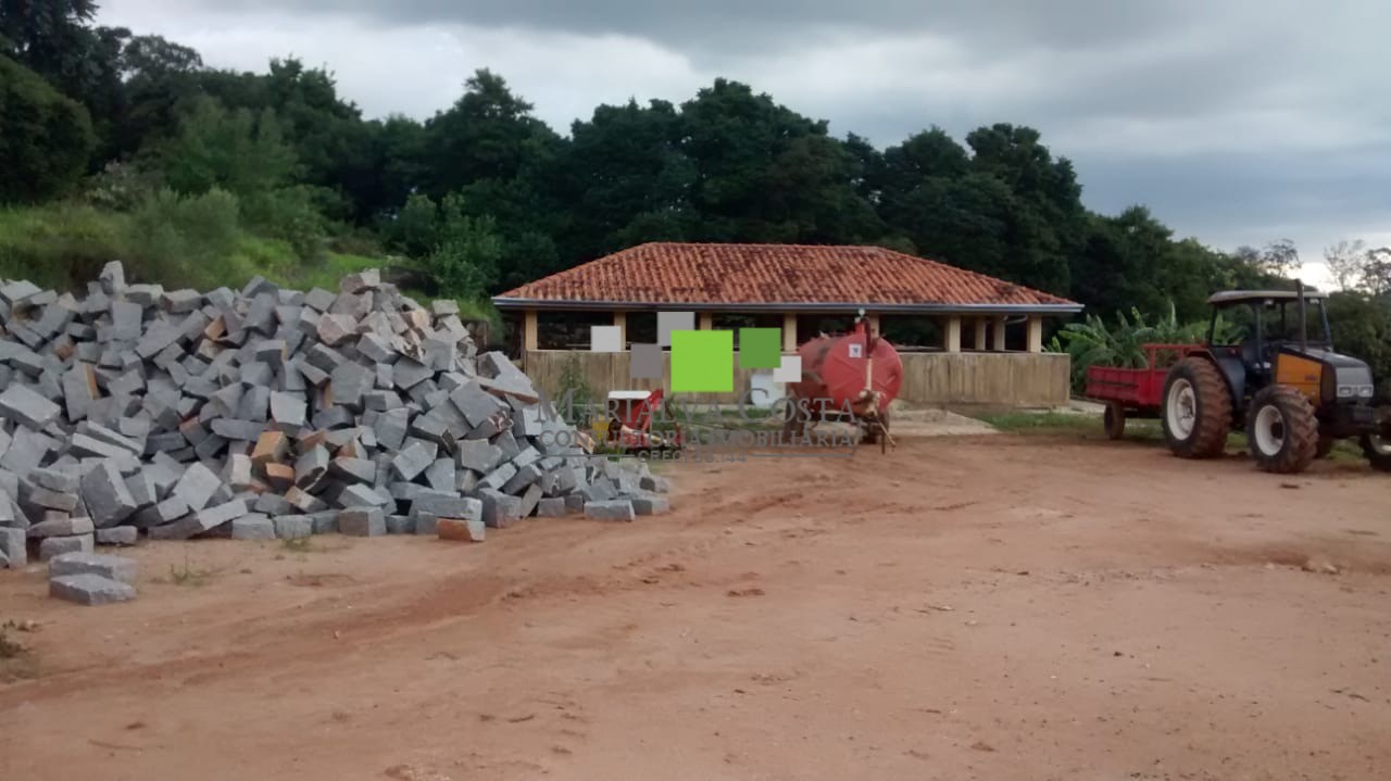 Fazenda à venda com 6 quartos - Foto 5