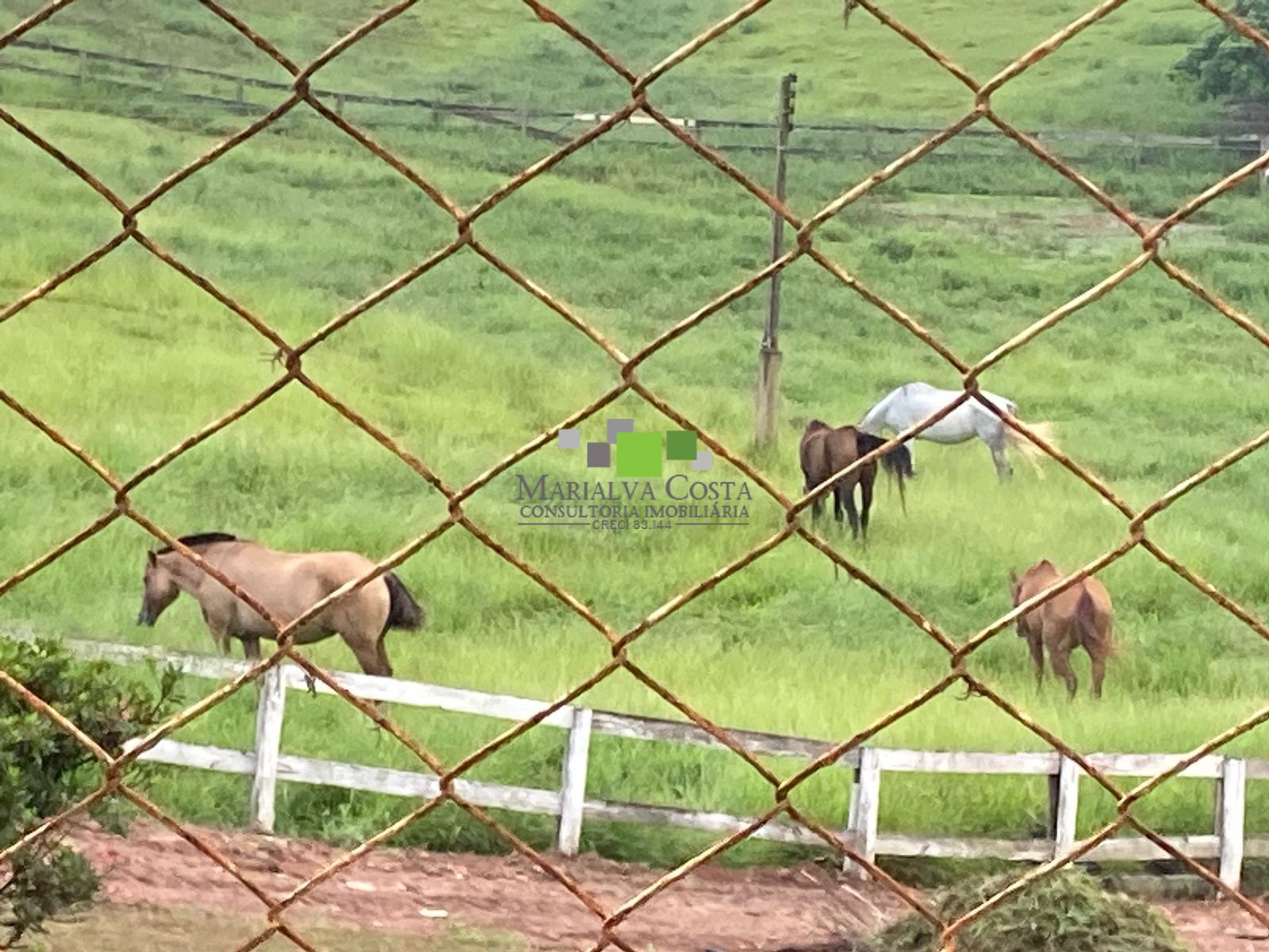 Fazenda à venda com 9 quartos - Foto 15