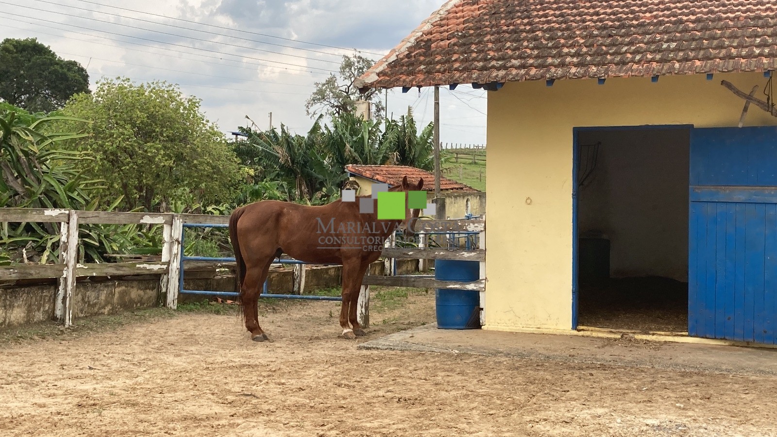 Fazenda à venda com 9 quartos - Foto 6