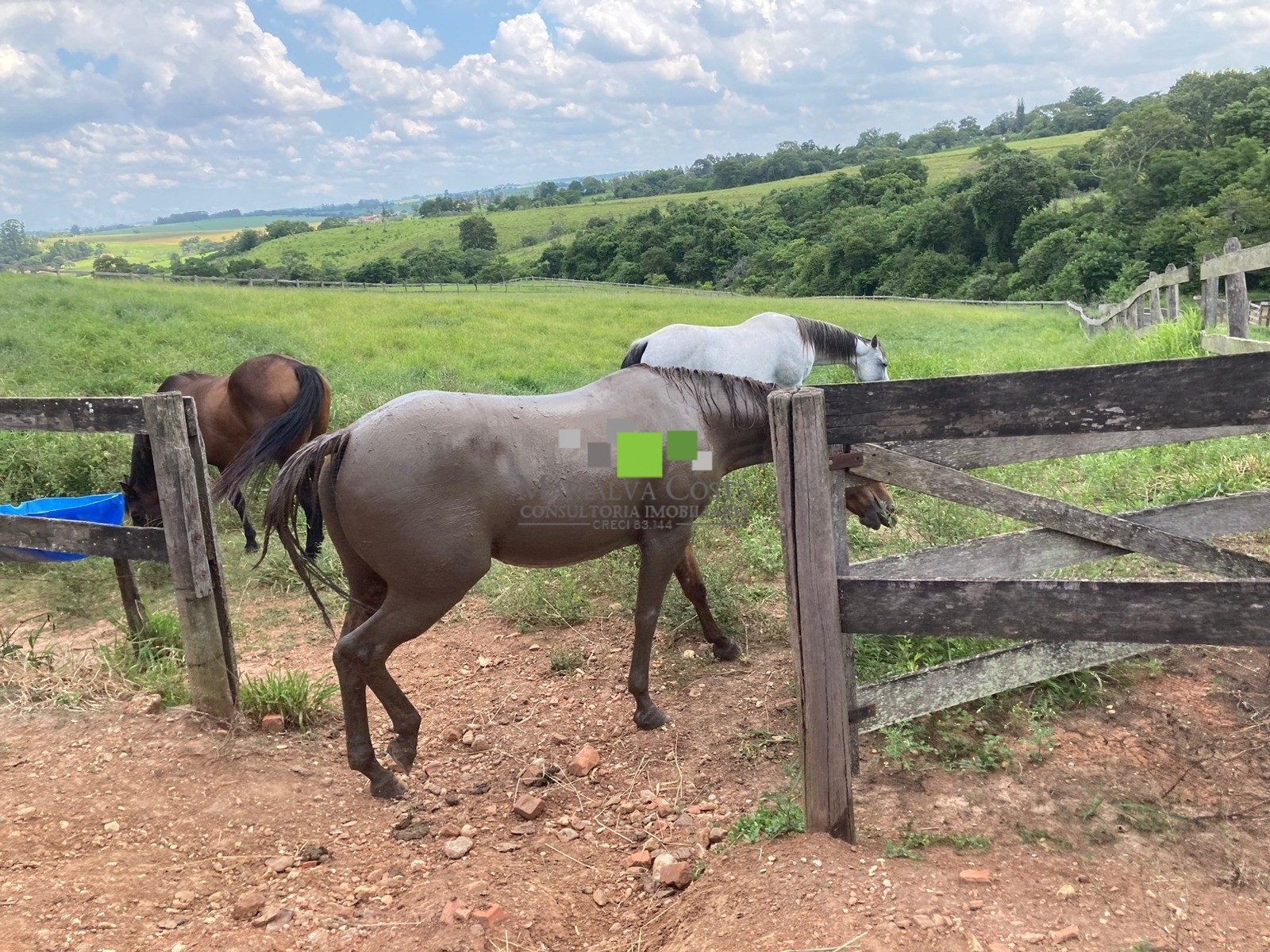 Fazenda à venda com 9 quartos - Foto 17