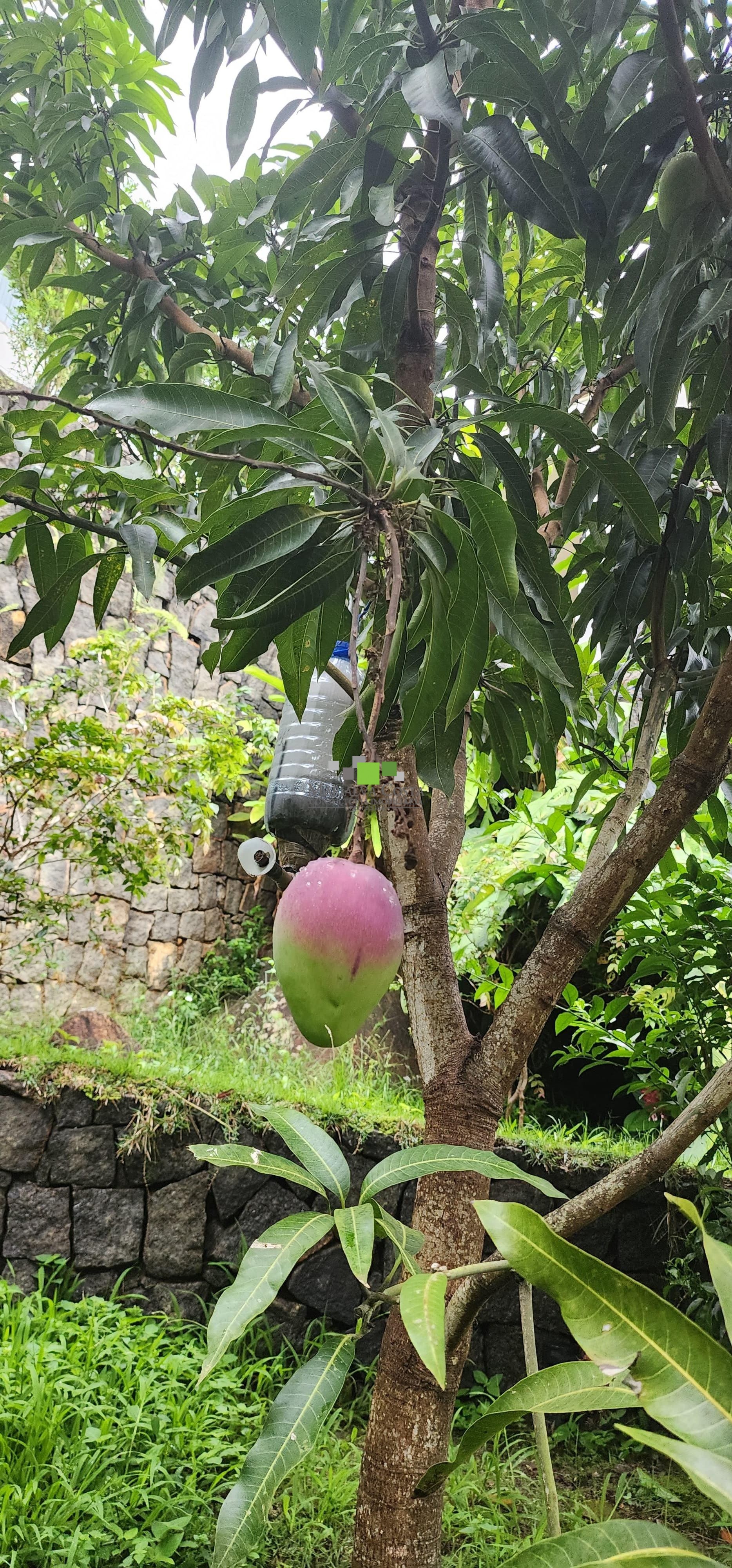 Casa à venda e aluguel com 13 quartos - Foto 58