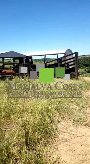 Fazenda à venda com 8 quartos - Foto 3