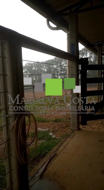 Fazenda à venda com 8 quartos - Foto 7