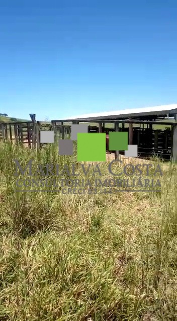 Fazenda à venda com 8 quartos - Foto 4