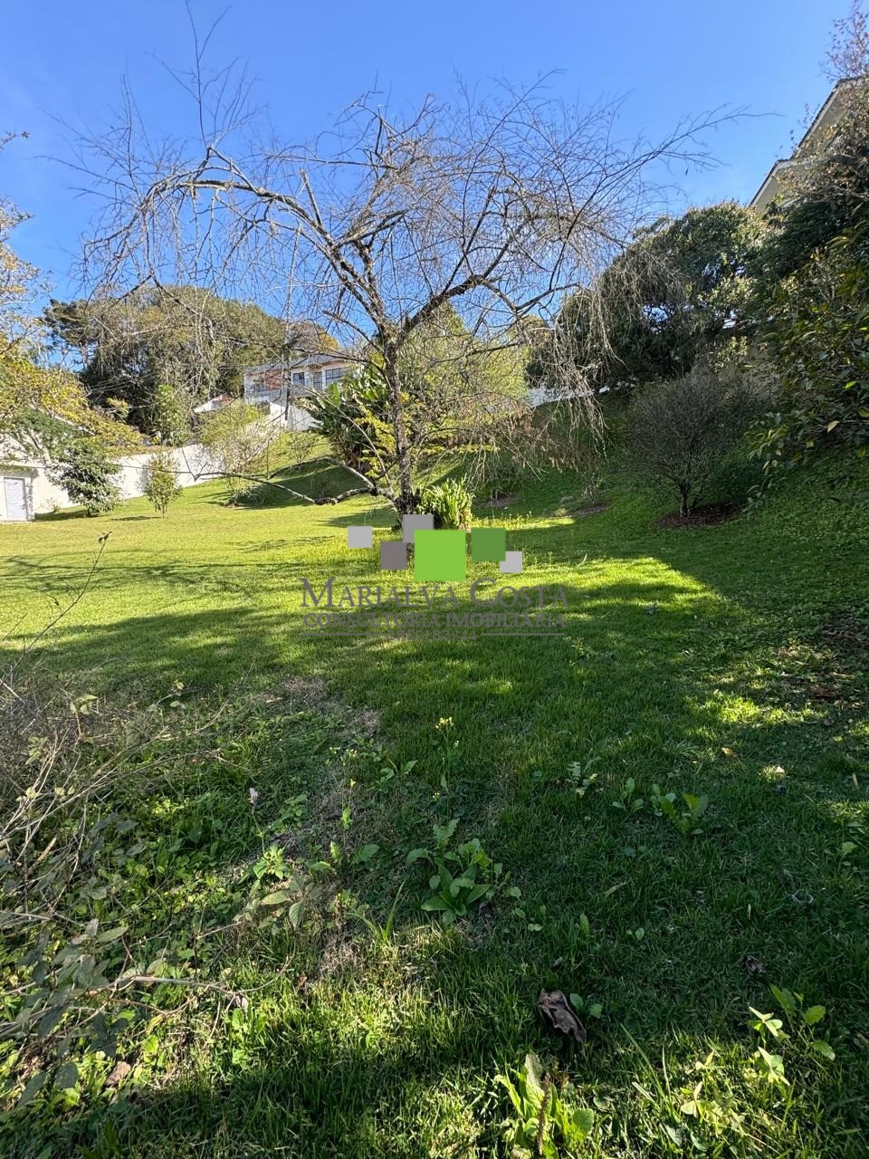 Terreno à venda - Foto 4