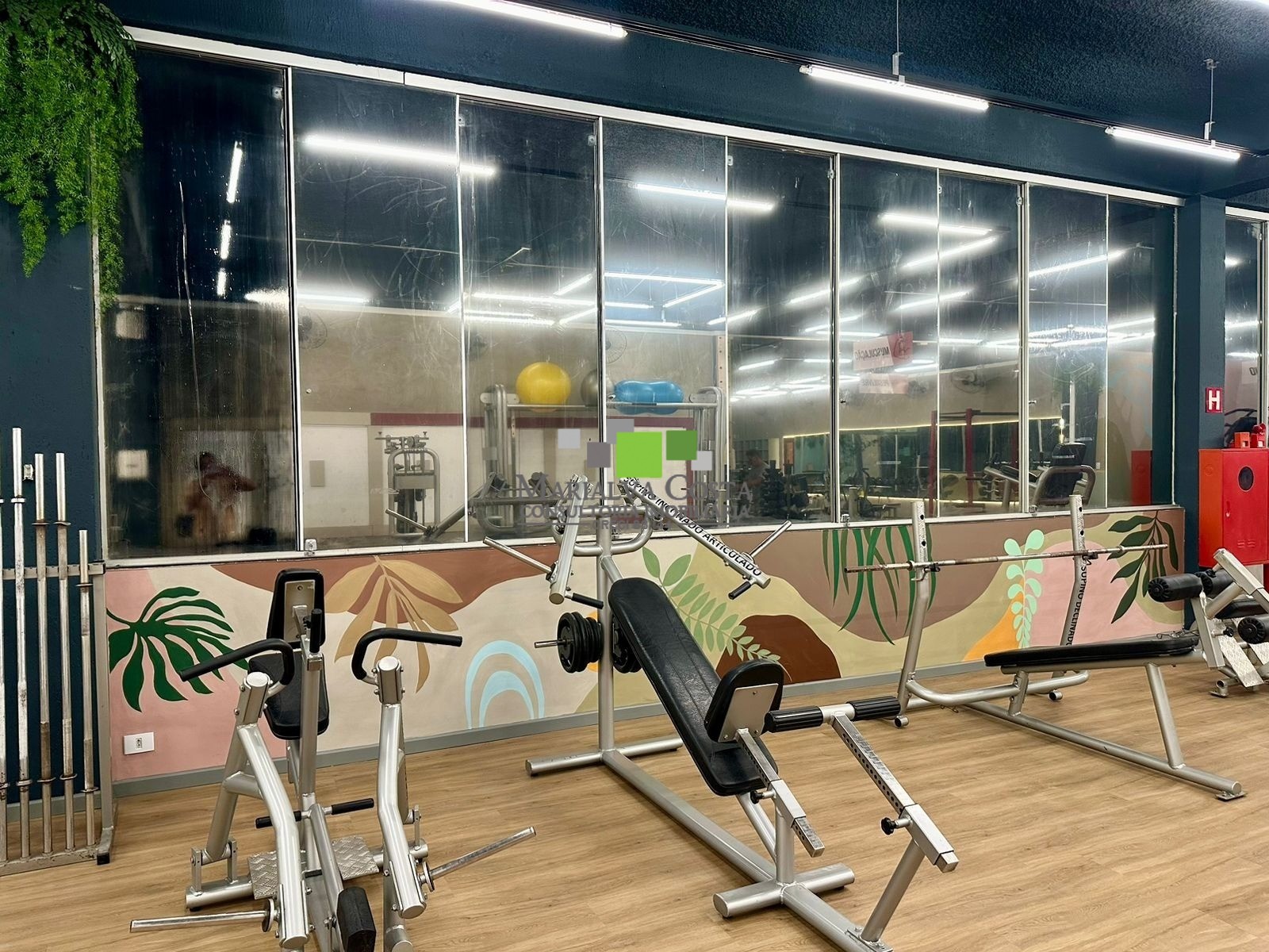 Casa, 5 quartos - Foto 43