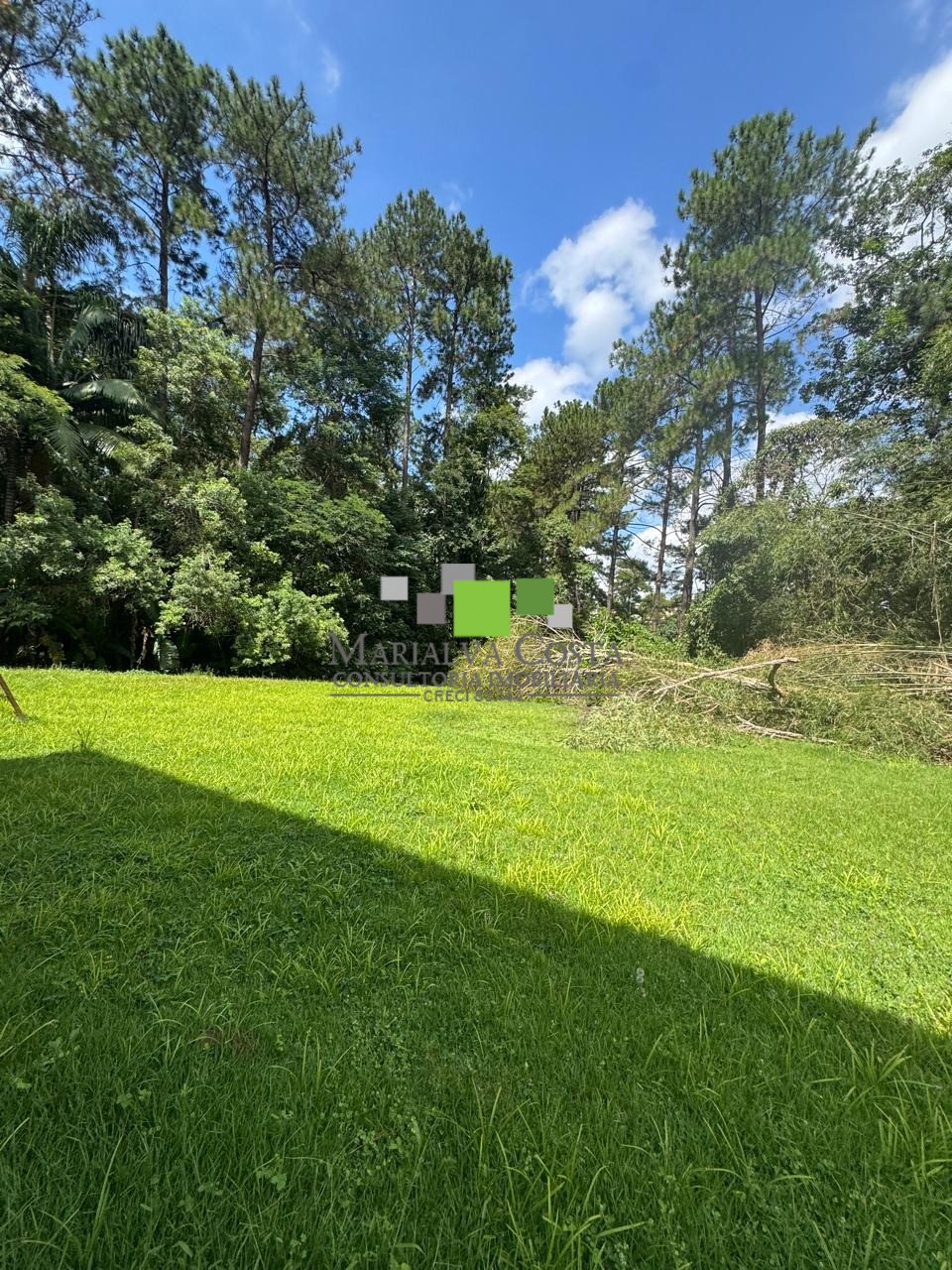 Casa, 3 quartos - Foto 42