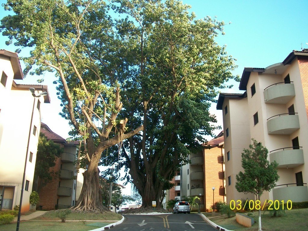 Apartamento, 2 quartos, 60 m² - Foto 20
