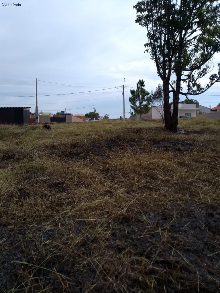 Terreno à venda, 300m² - Foto 4