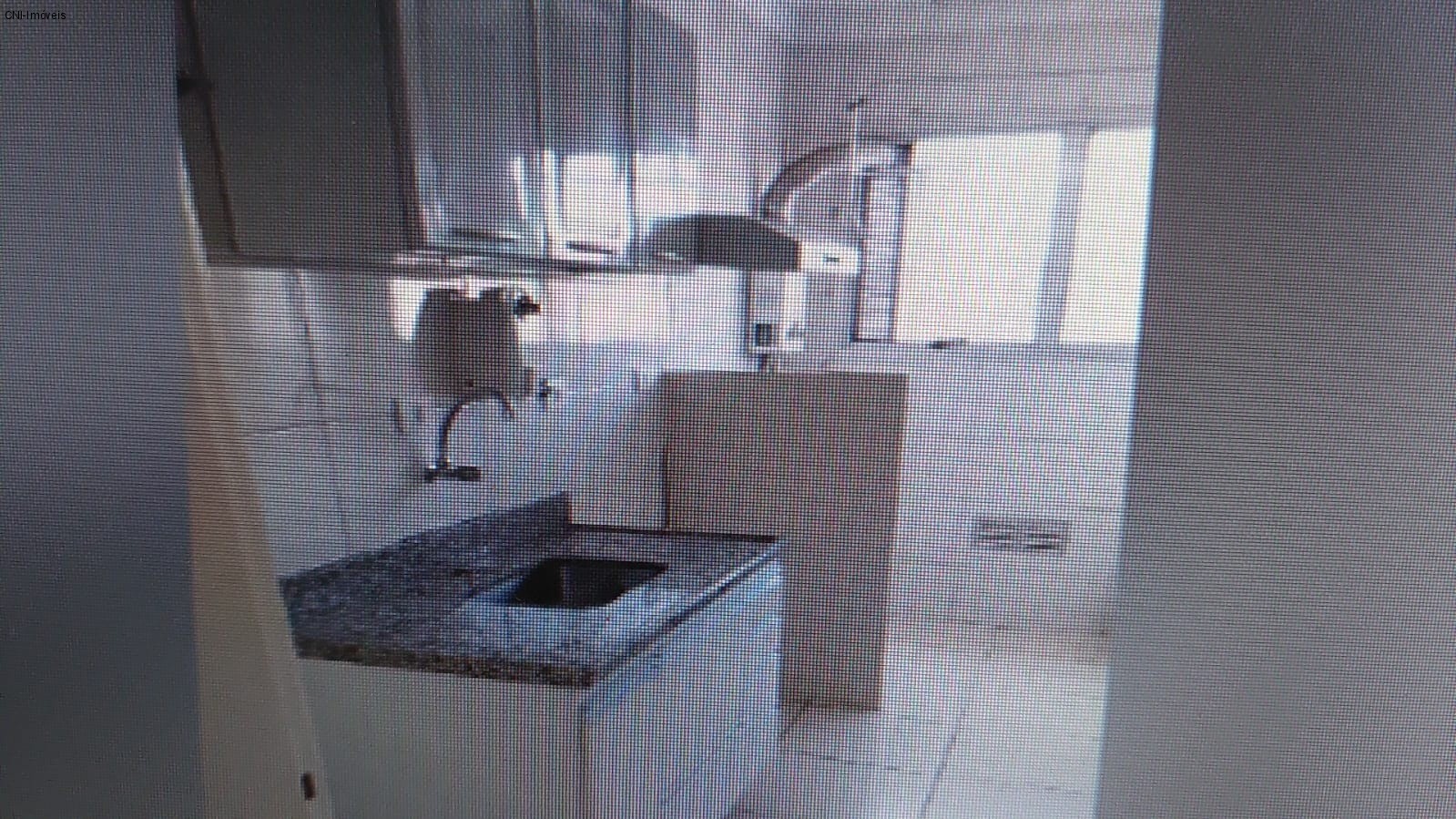 Apartamento à venda com 2 quartos, 55m² - Foto 10