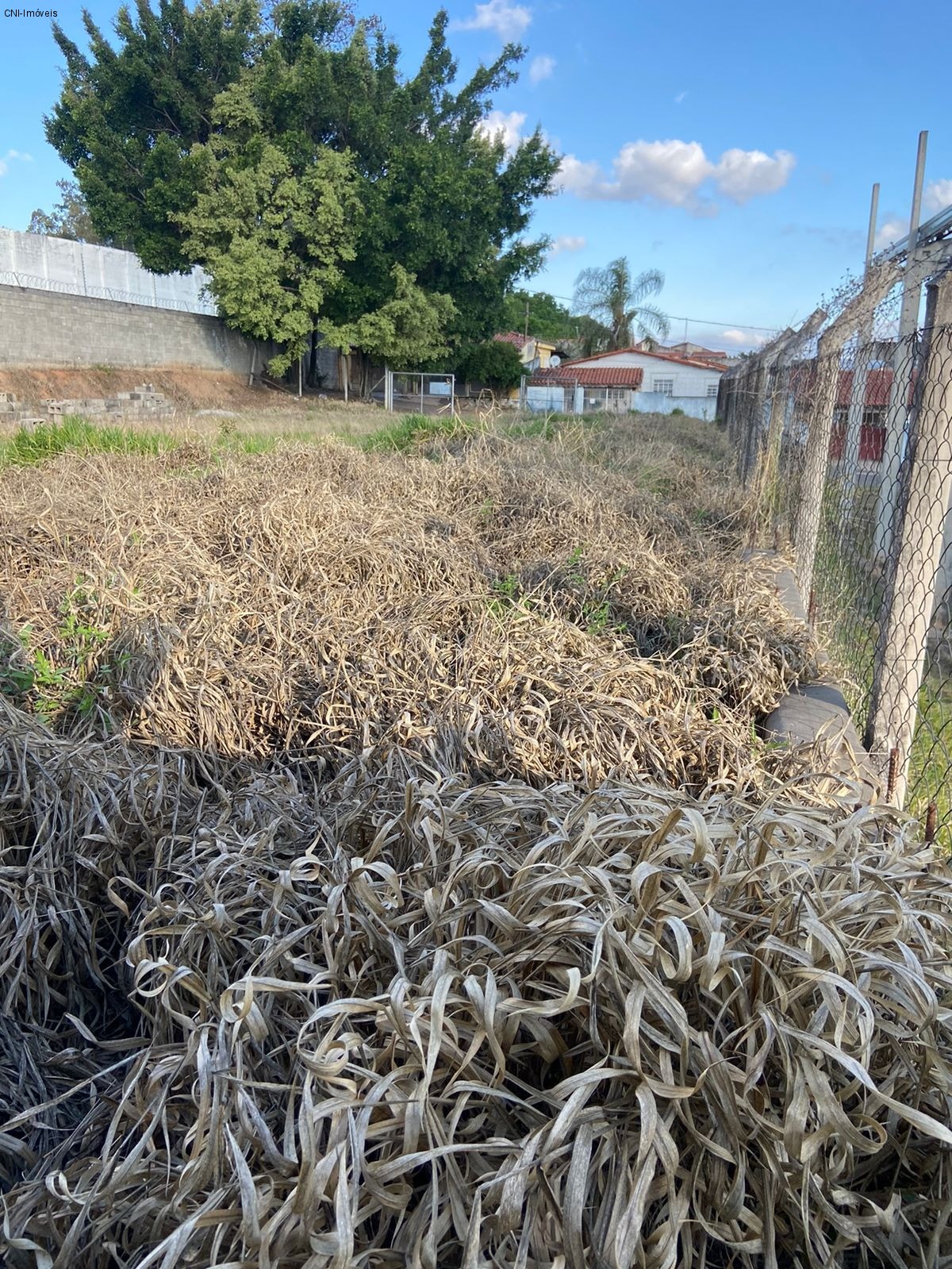 Loteamento e Condomínio à venda, 1000m² - Foto 2