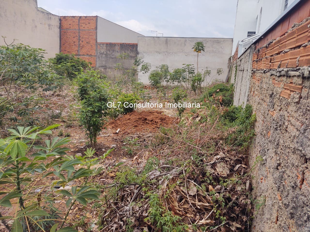 Terreno à venda, 250m² - Foto 2