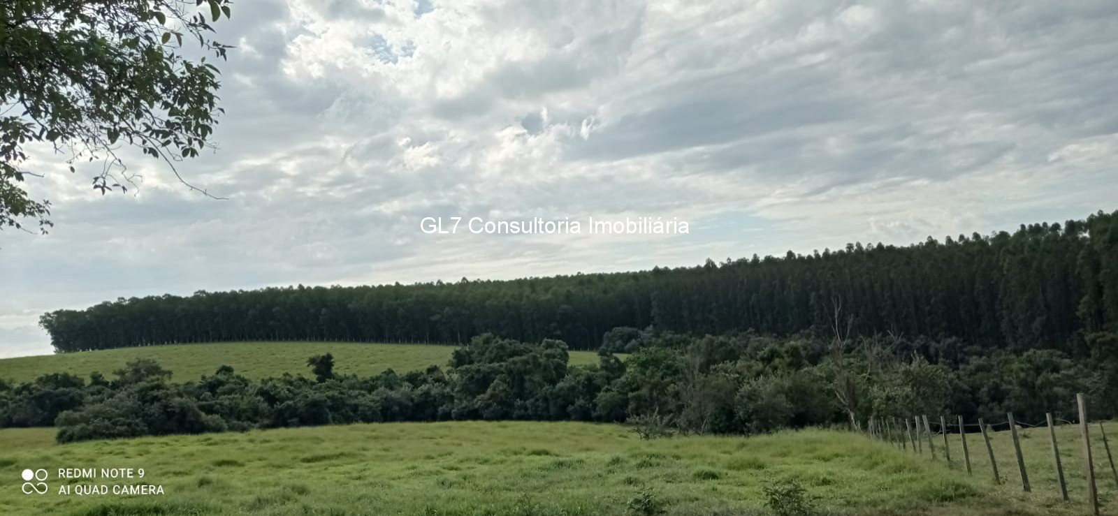 Haras e Área Rural Padrão à venda - Foto 3