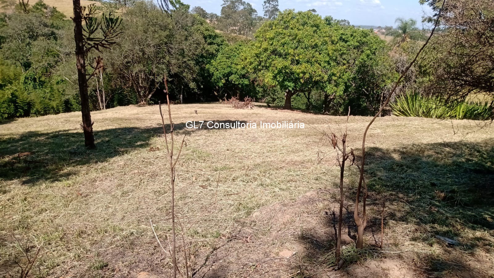 Terreno à venda, 2019m² - Foto 11