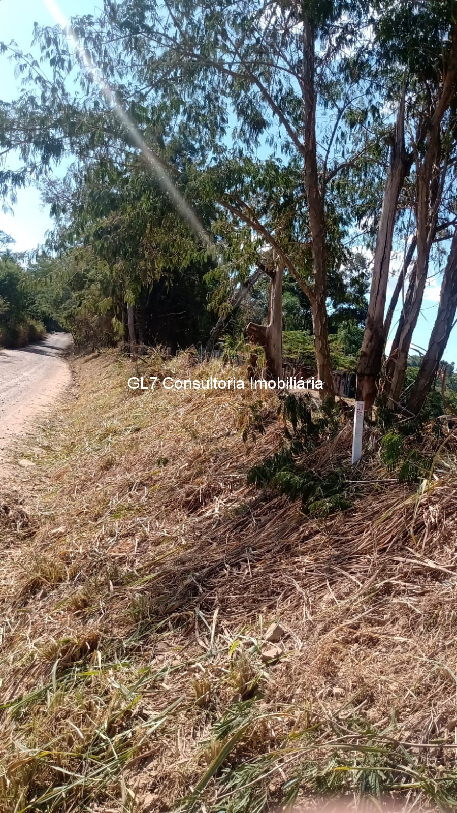 Terreno à venda, 2019m² - Foto 15