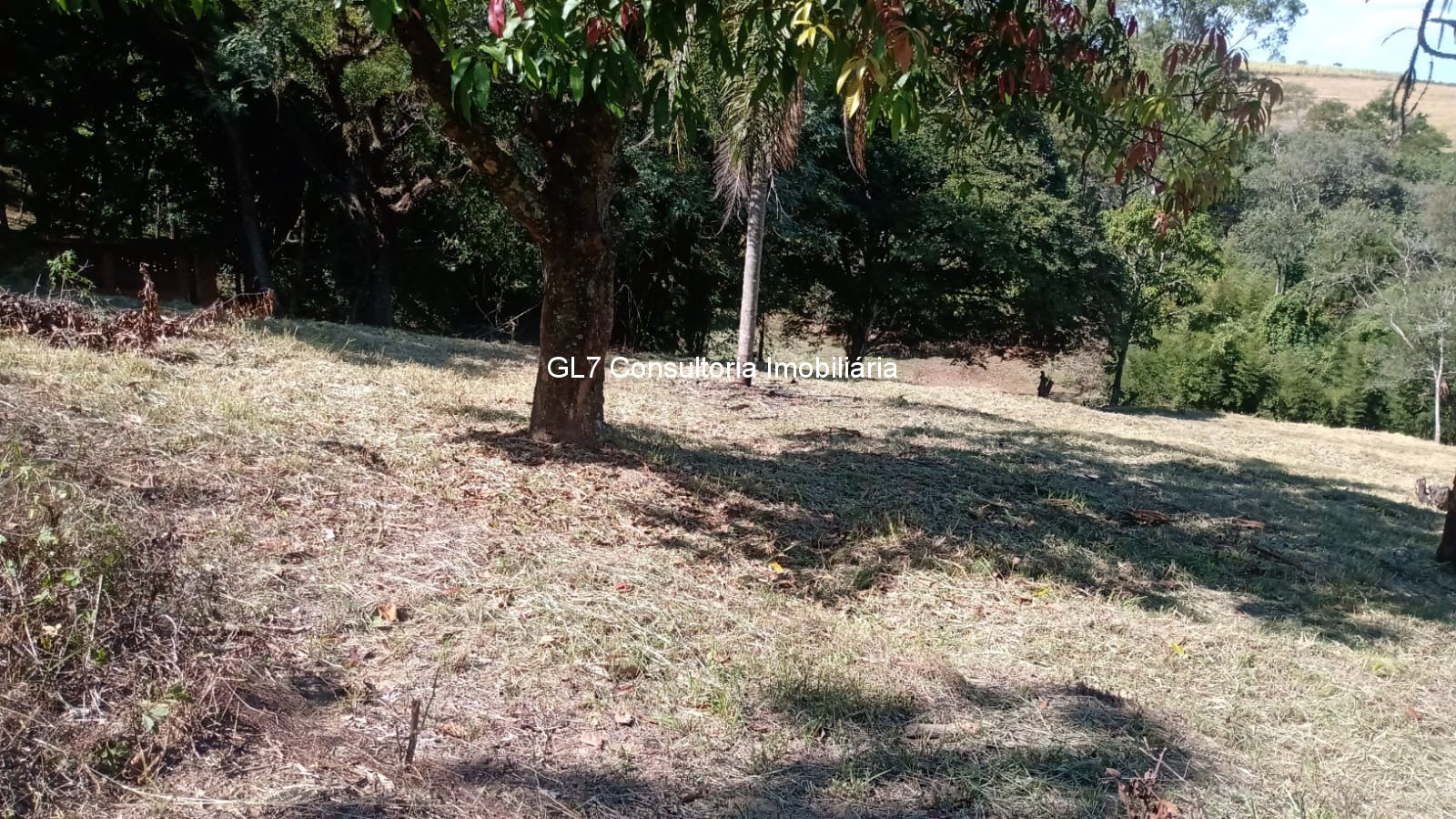 Terreno à venda, 2019m² - Foto 13