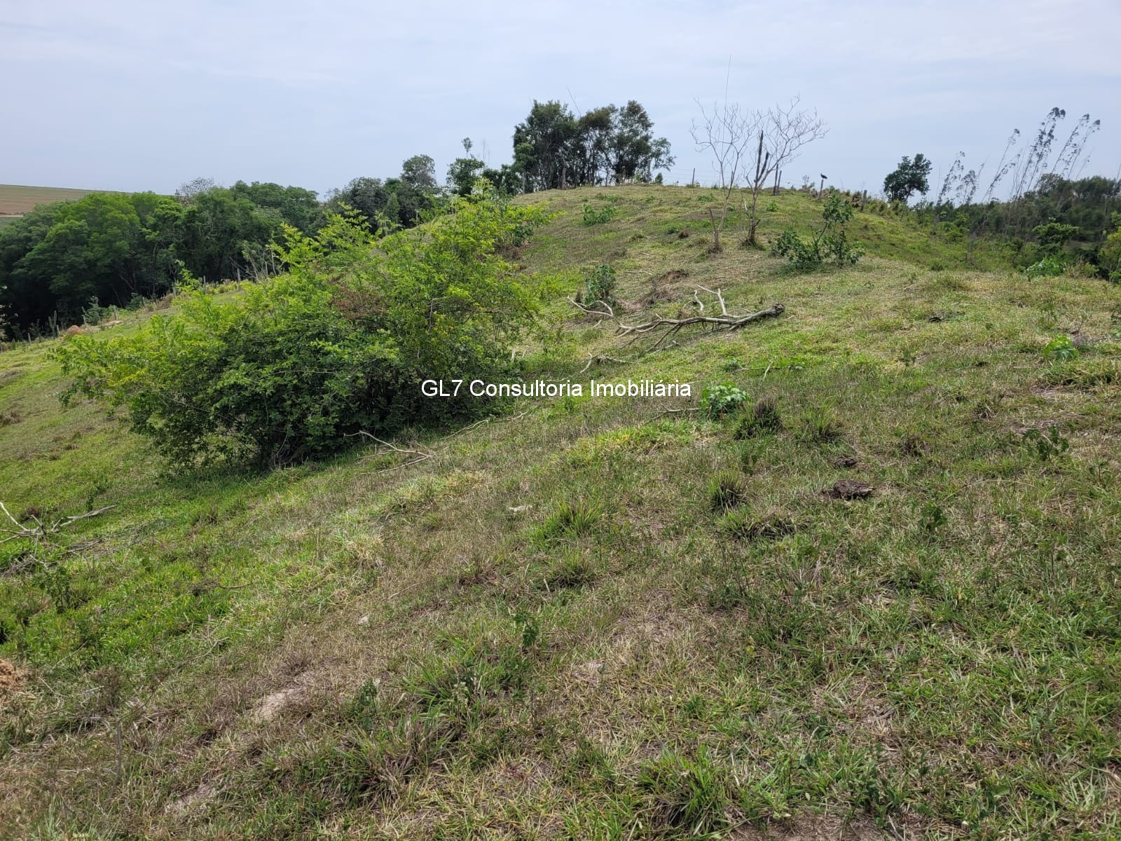 Haras e Área Rural Padrão à venda - Foto 3