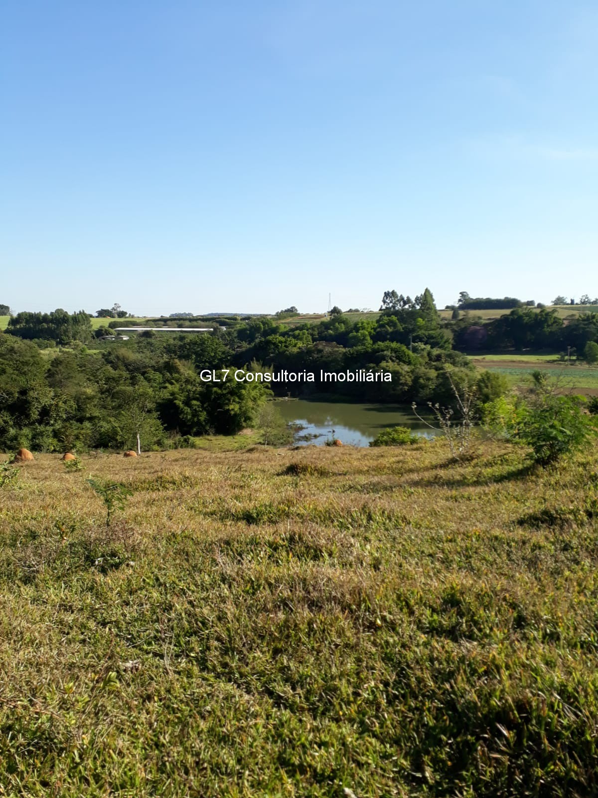 Haras e Área Rural Padrão à venda - Foto 6