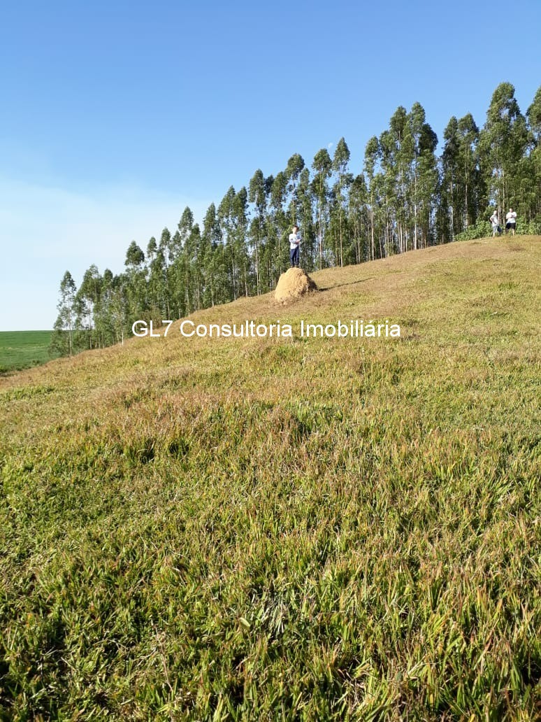 Haras e Área Rural Padrão à venda - Foto 5