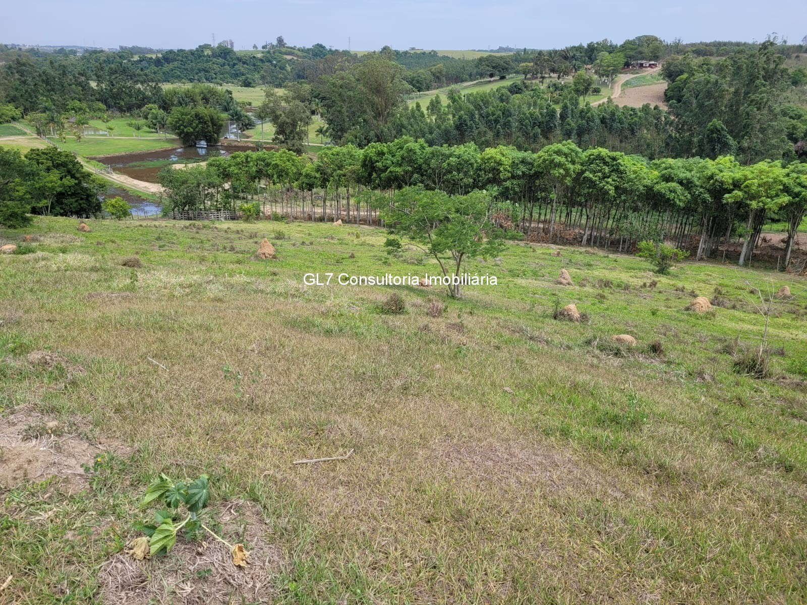 Haras e Área Rural Padrão à venda - Foto 1