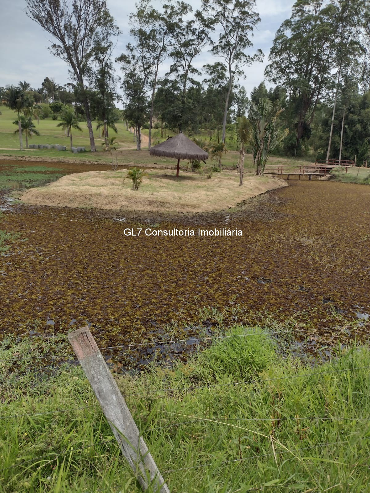 Haras e Área Rural Padrão à venda - Foto 4