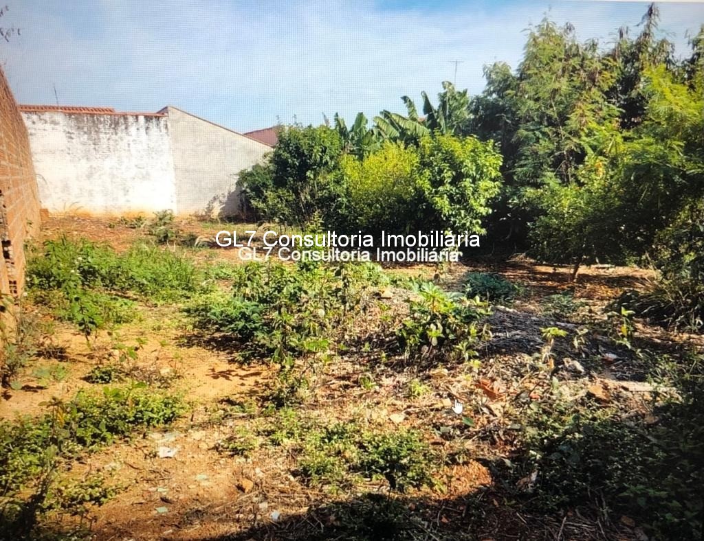 Terreno à venda, 125m² - Foto 2