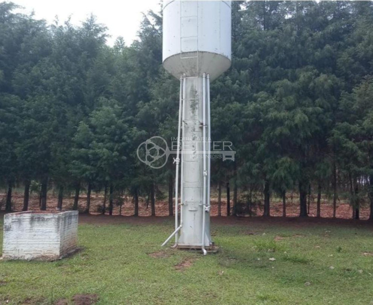 Fazenda à venda com 1 quarto, 774400m² - Foto 25