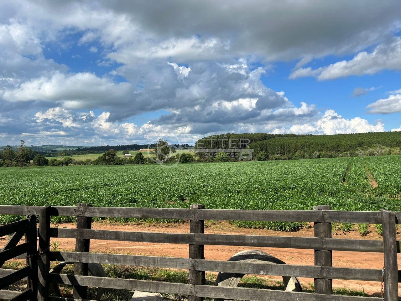 Fazenda à venda com 1 quarto, 774400m² - Foto 32