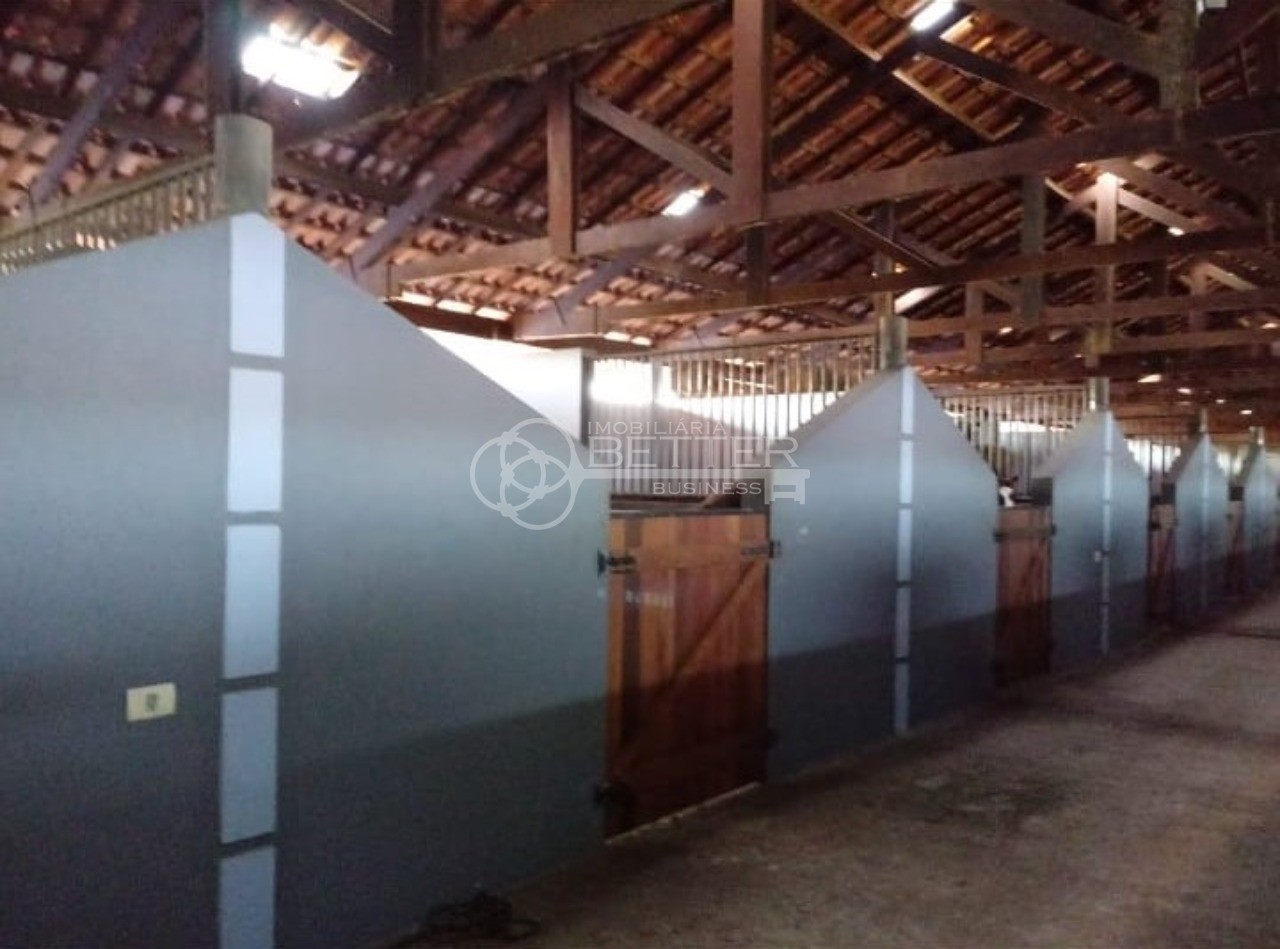 Haras e Área Rural Padrão à venda com 4 quartos, 484000m² - Foto 15