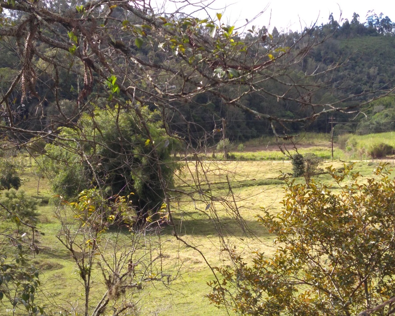 Chácara à venda, 20000m² - Foto 10