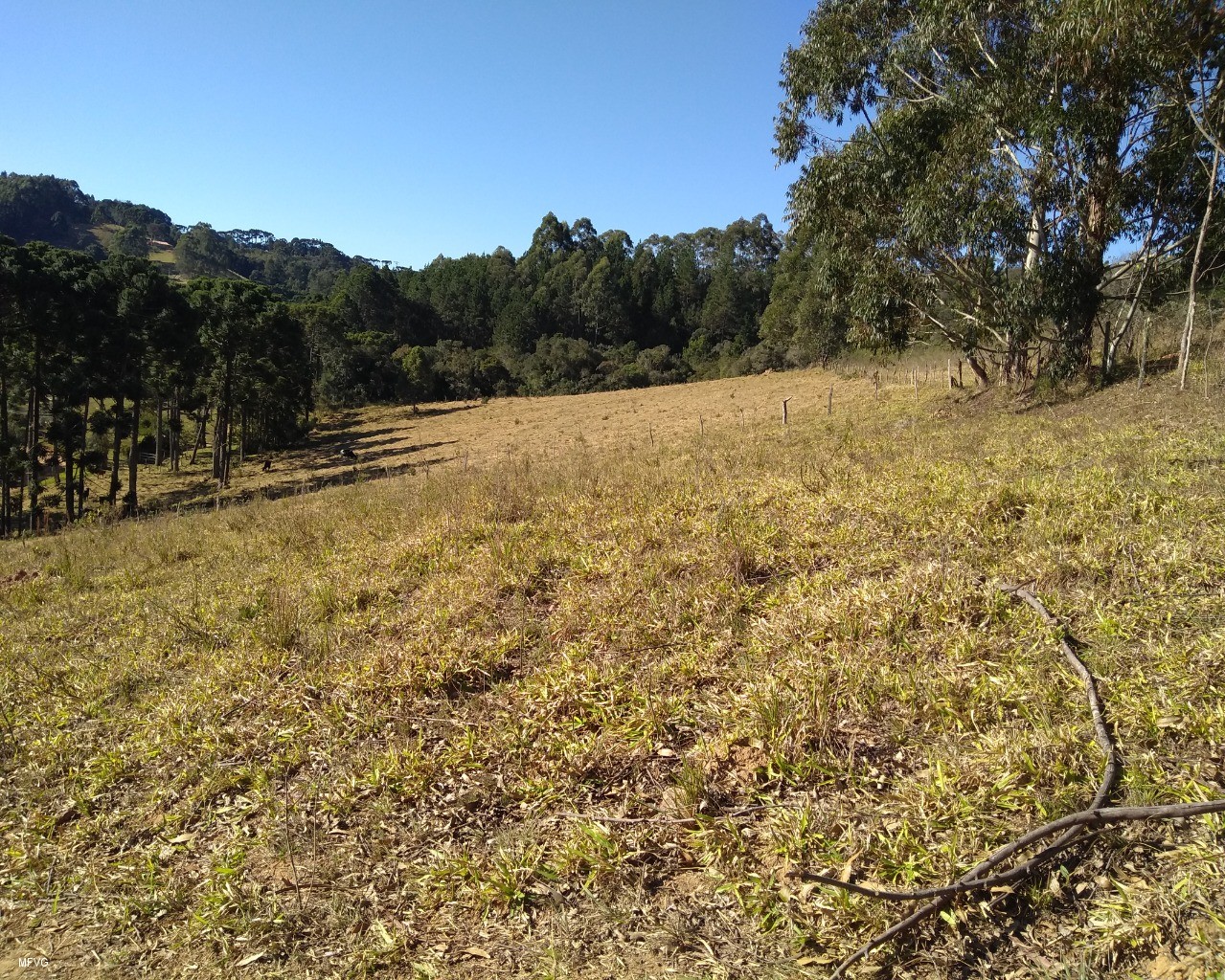 Chácara à venda, 30000m² - Foto 4