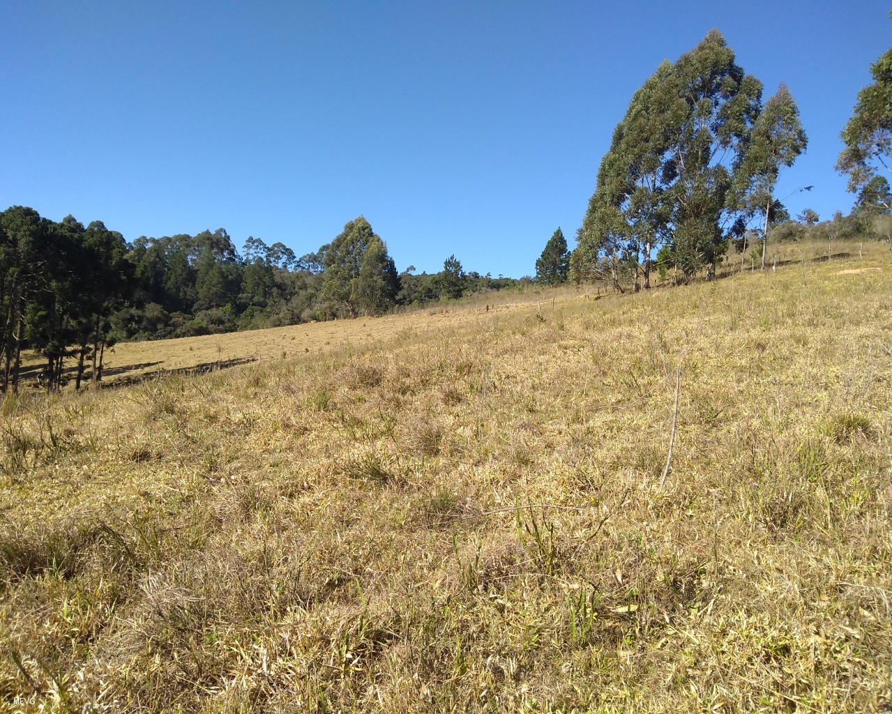 Chácara à venda, 30000m² - Foto 5